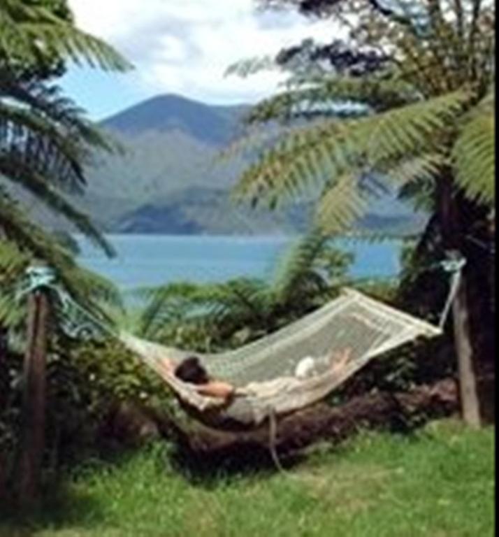 Lochmara Lodge - 20Mins By Boat From Picton Lochmara Bay Екстериор снимка