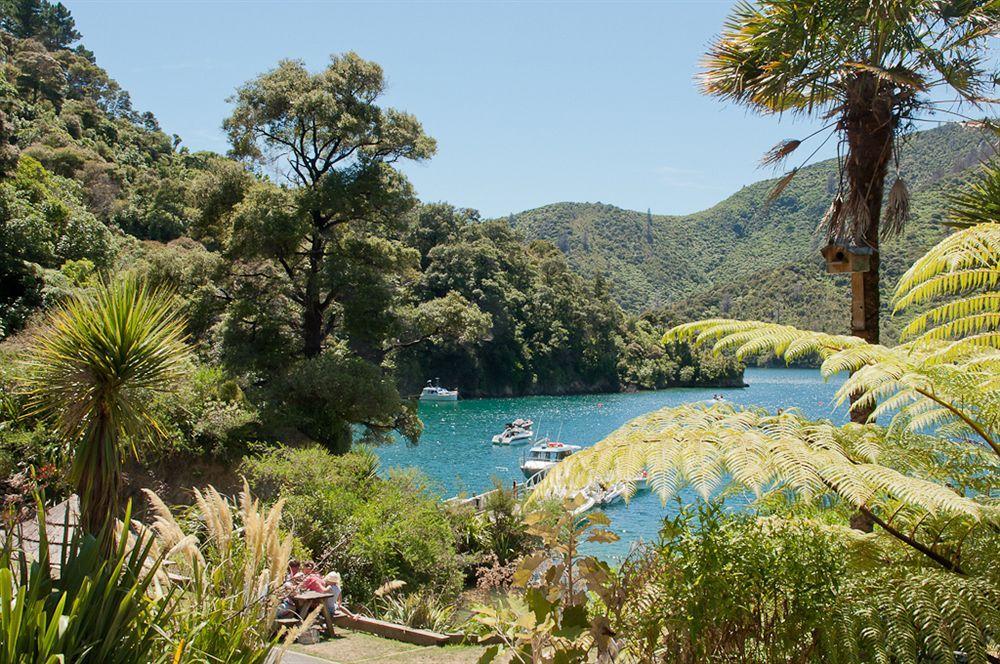 Lochmara Lodge - 20Mins By Boat From Picton Lochmara Bay Екстериор снимка