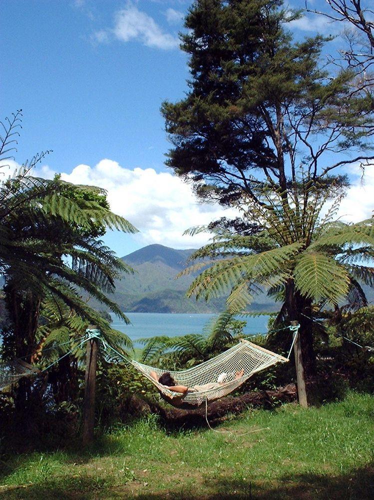 Lochmara Lodge - 20Mins By Boat From Picton Lochmara Bay Екстериор снимка