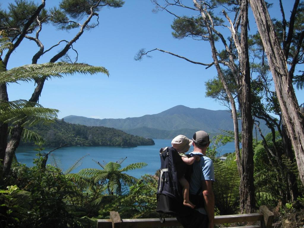 Lochmara Lodge - 20Mins By Boat From Picton Lochmara Bay Екстериор снимка
