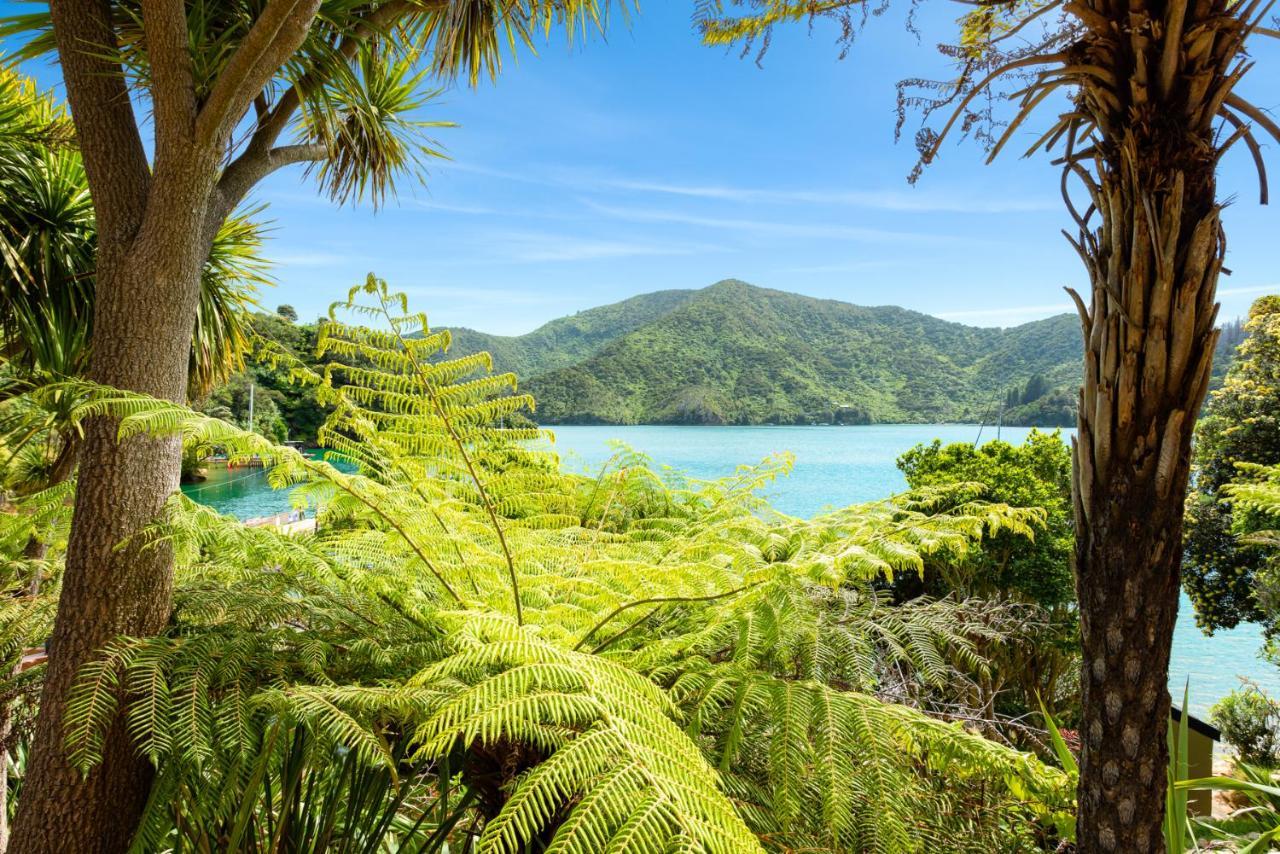 Lochmara Lodge - 20Mins By Boat From Picton Lochmara Bay Екстериор снимка